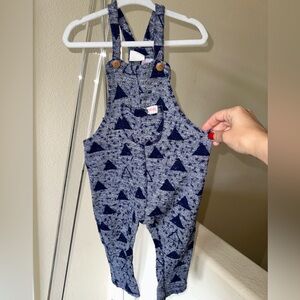 Beautiful ZARA Pattern Overalls